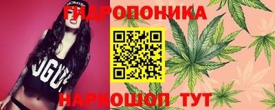 амф Конаково